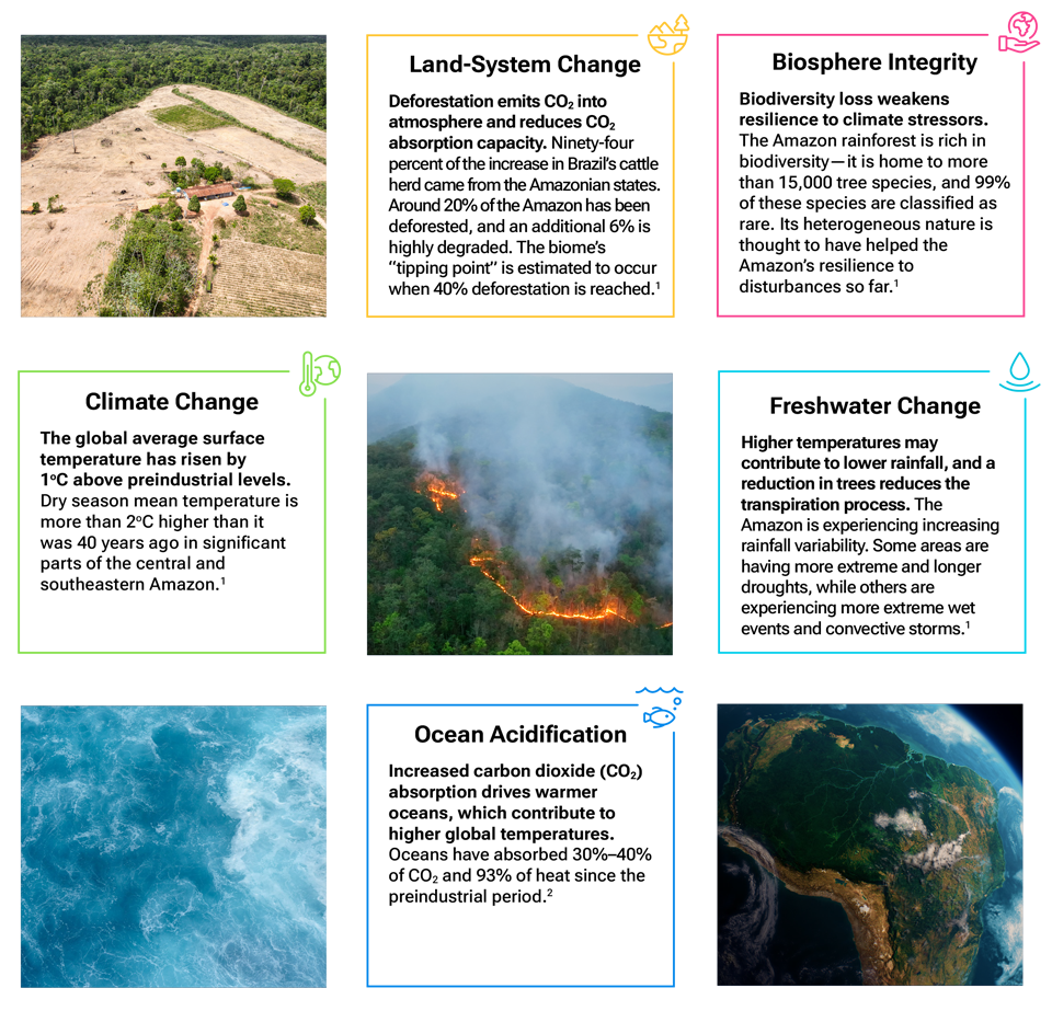 Graphics depicting several of the planetary processes that are linked to the Amazon rainforest, including statistics to convey how these processes are impacted by deforestation.