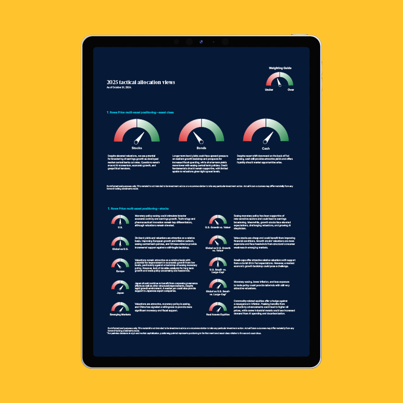 Image of the T. Rowe Price tactical allocation views