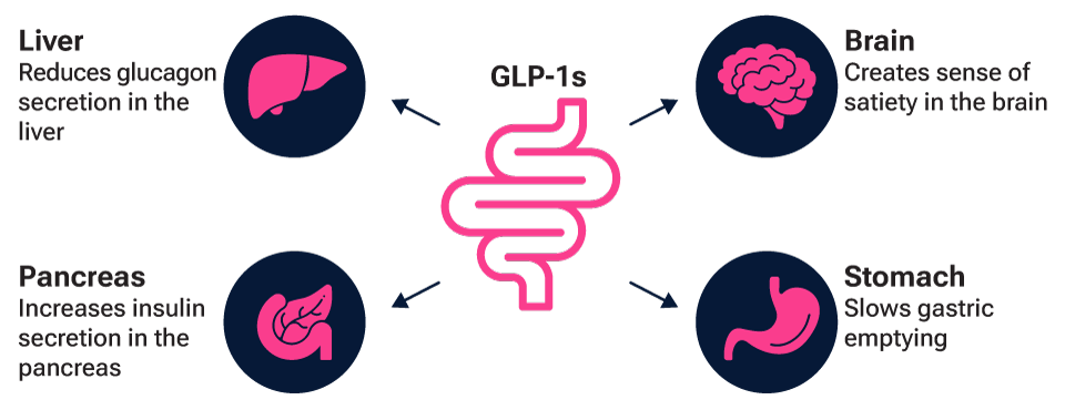 The physiological impact of GLP‑1s