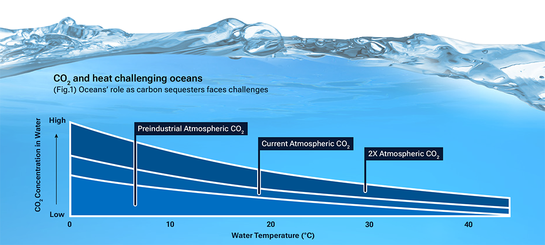 An infographic depicting the concentration of CO2 that the oceans can maintain depending on the relationship between atmospheric CO2 and temperature.